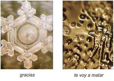 Matar