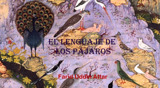 Miniatura doble_Pájaros_650x360