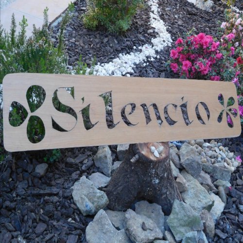 Silencio_Suesa_Novedades
