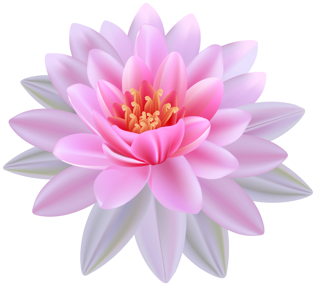 5a1cbe95376fd4.6264084915118332372271