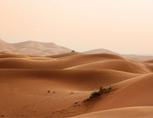 Desierto_Novedades