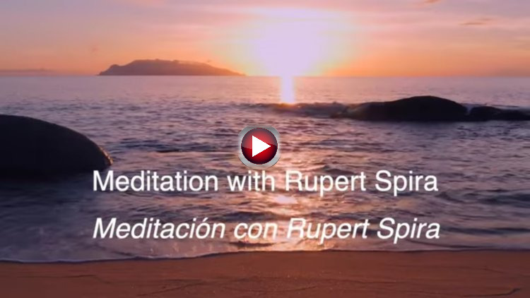 Meditación con Rupert Spira