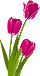 flower-54e9d7404e_150