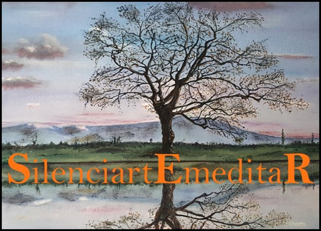 SilenciartEmeitaR