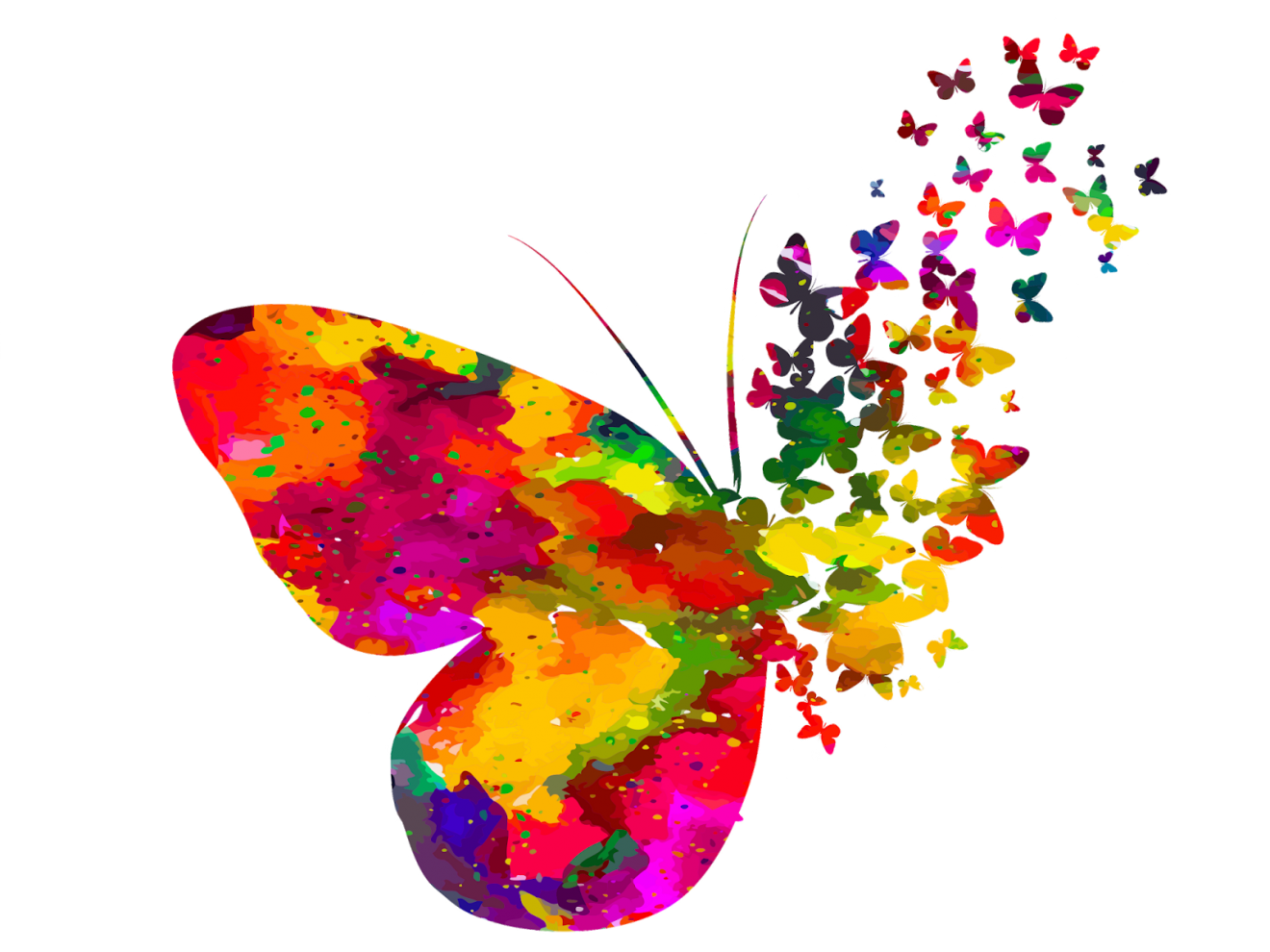 transparent-butterfly-moths-and-butterflies-insect-pollinator-journeying-from-grief-to-peace-june-20195dcb6d66e6ee93.1237764315736129029459