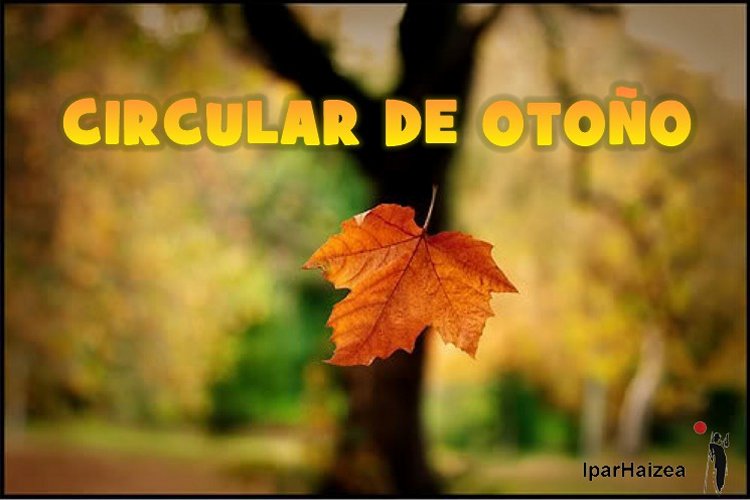 Circular de otoño
