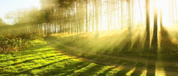 La naturaleza de la experiencia