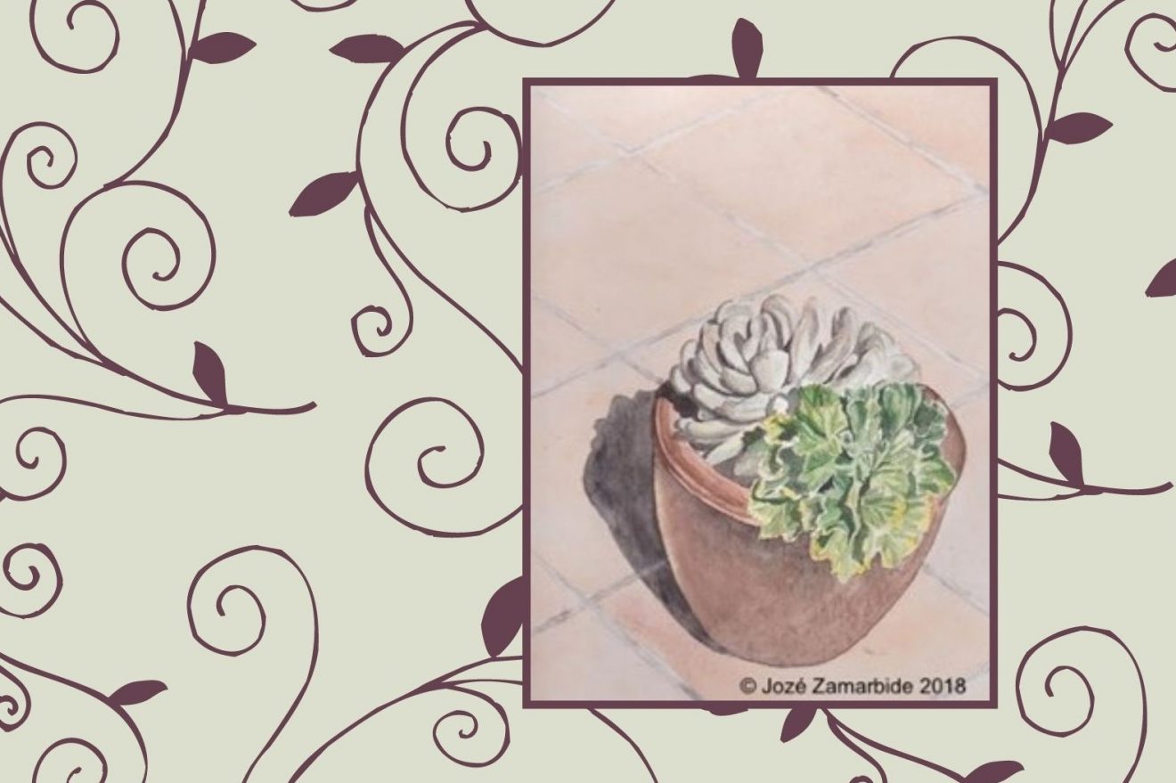 Cactus_Blog2