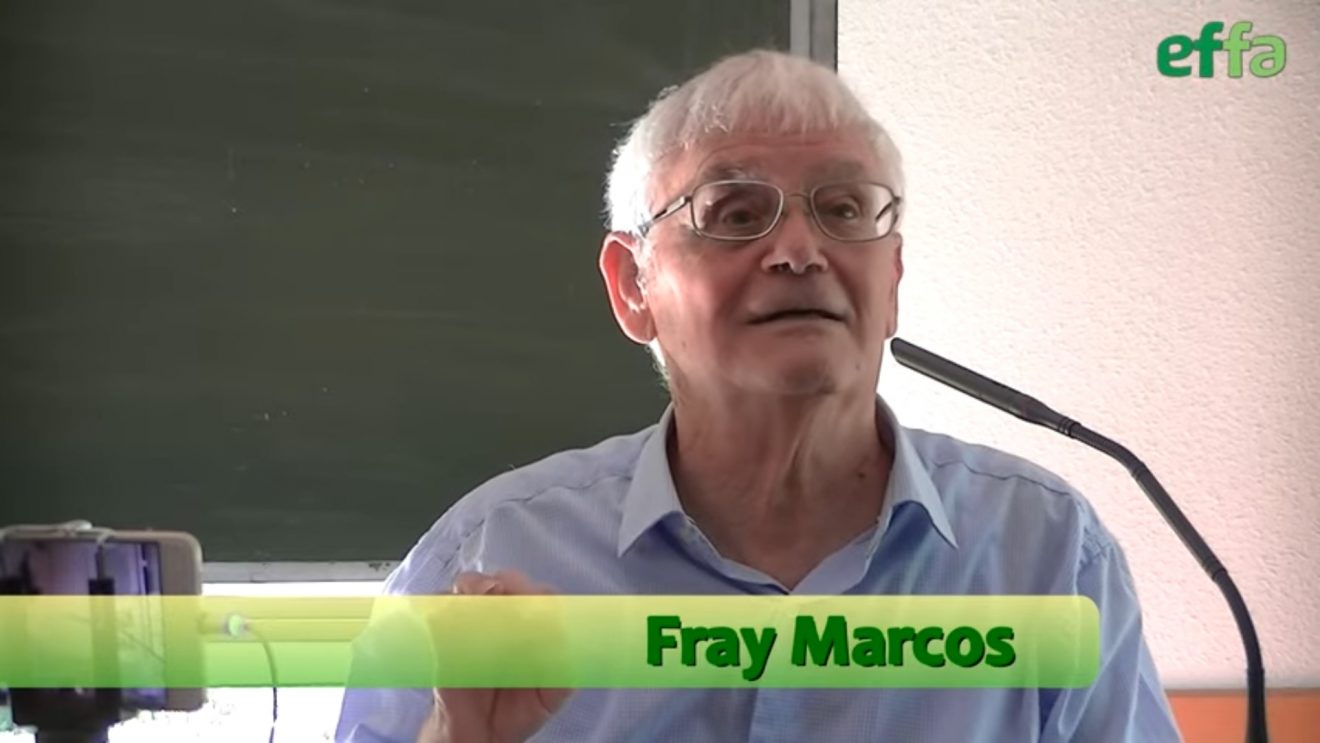Fray Marcos2
