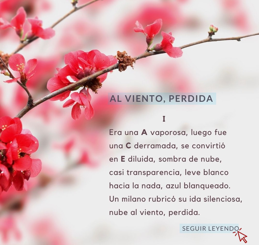 Al viento, perdida1