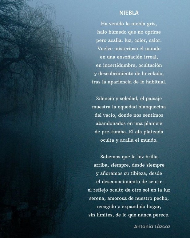 Niebla + poema1.png