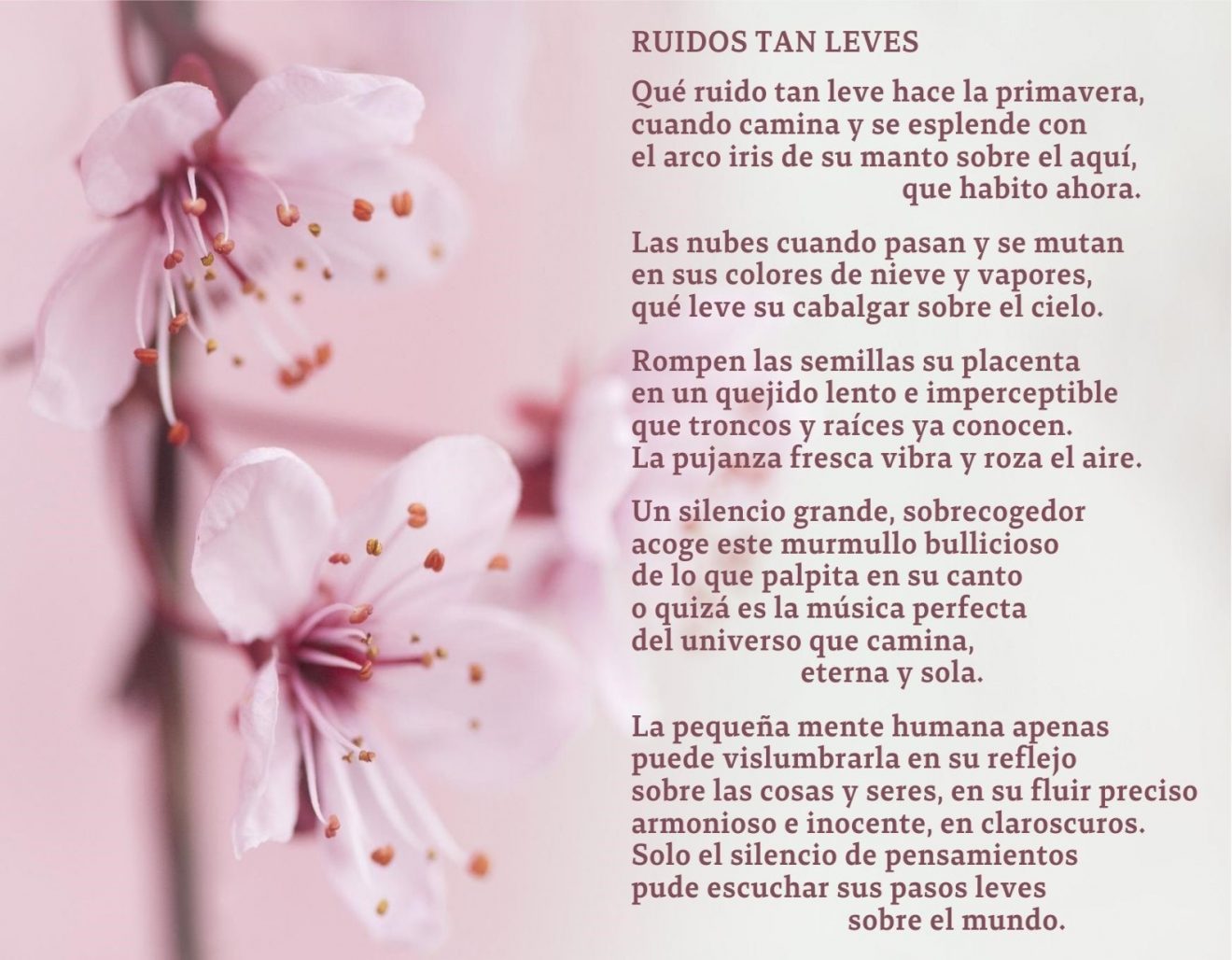 Ruidos tan leves1