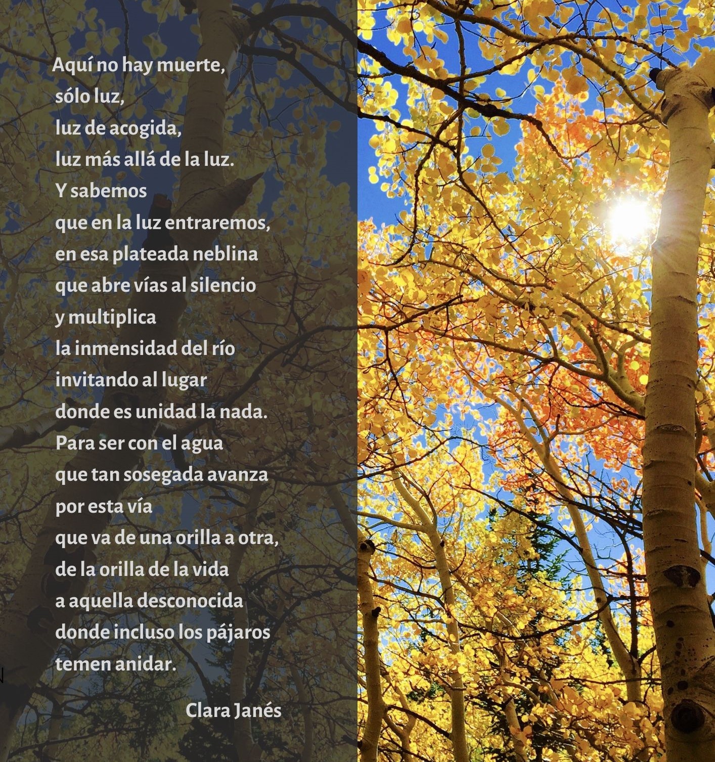 Aquí no hay muerte2