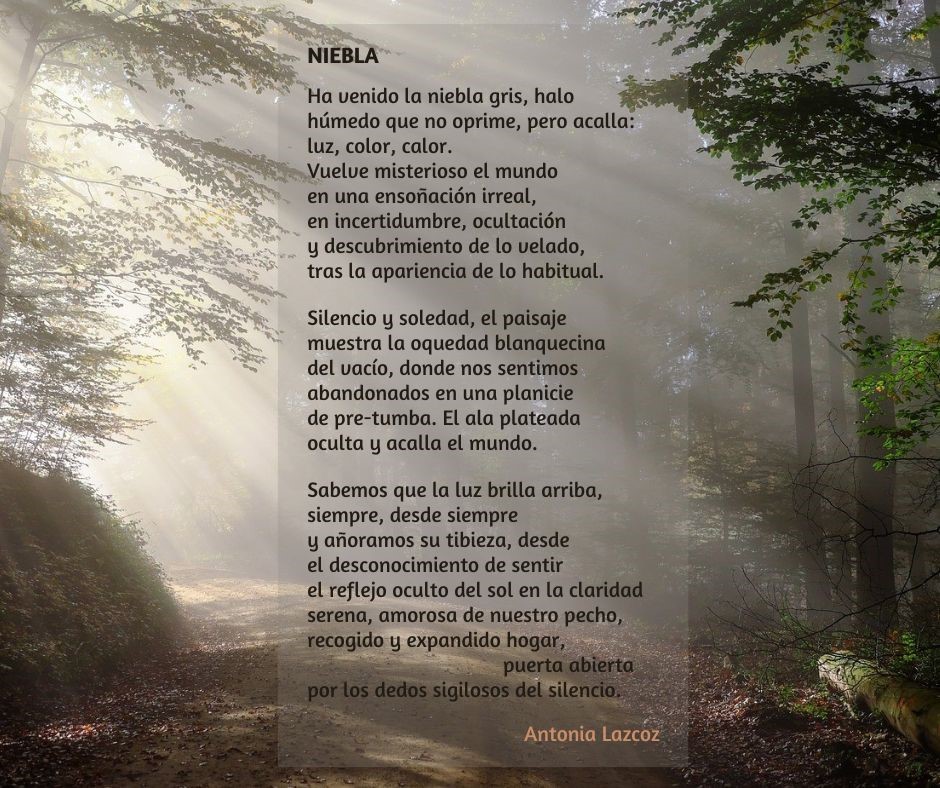 Niebla_Antonia Lazcoz