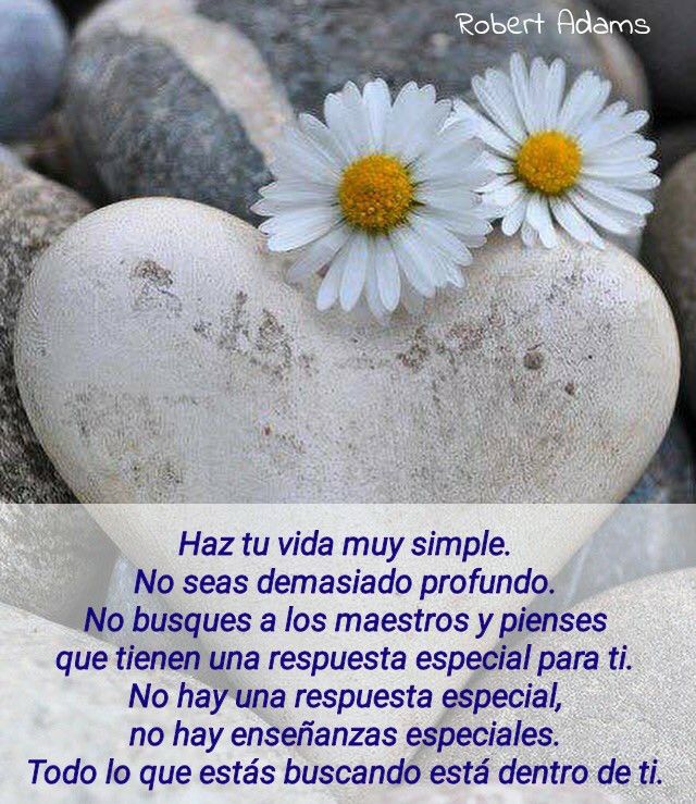 REGALO_Haz tu vida muy simple_Robert Adams