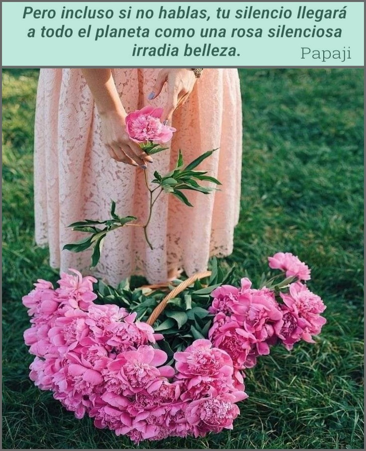 Regalo - Si no hablas