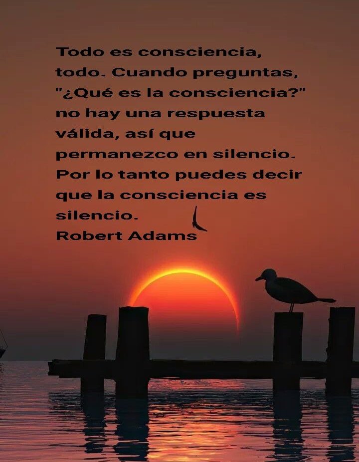 Robert Adams_Todo es consciencia