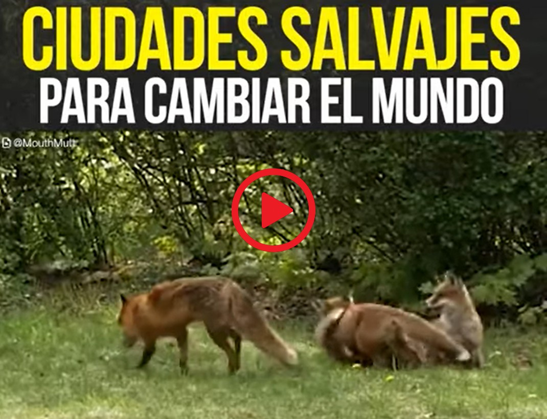 Ciudades salvajes para cambiar el mundo