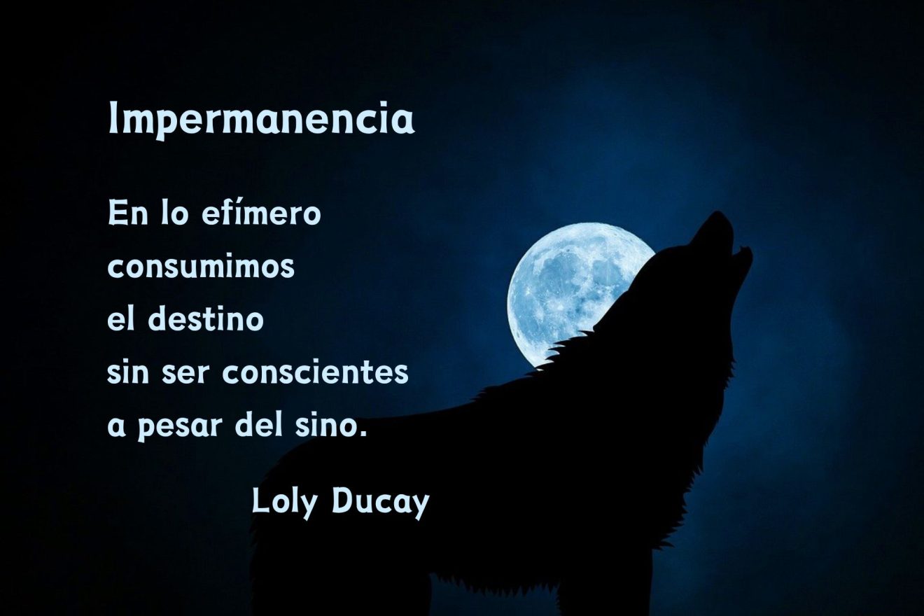 Impermanencia1
